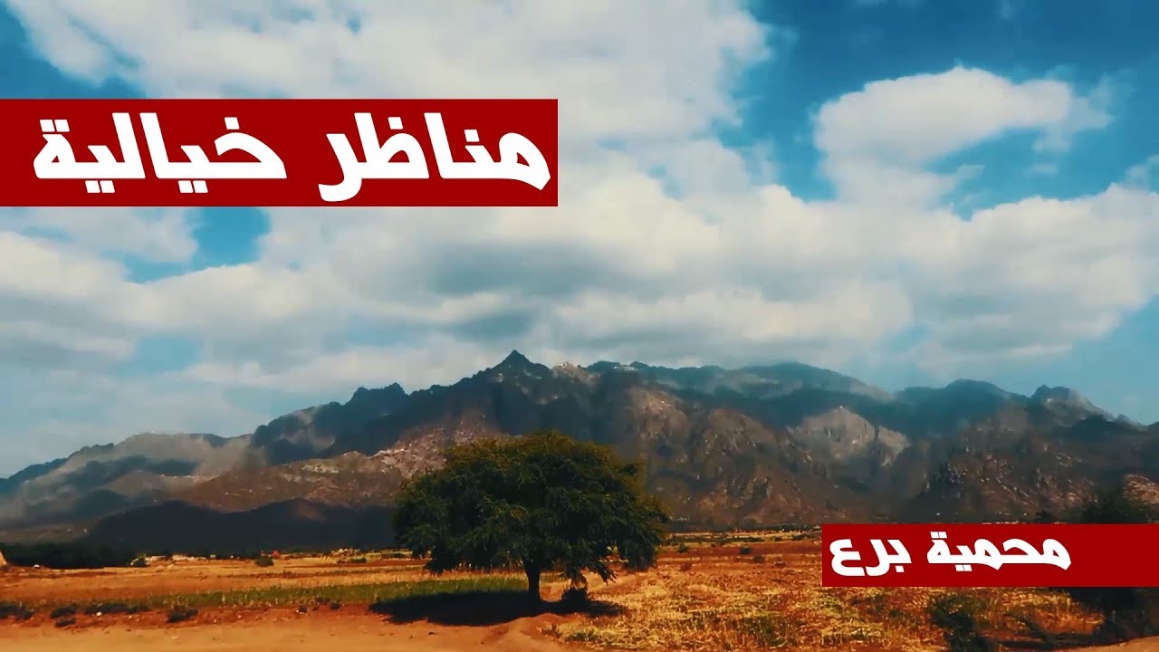 محمية برع | الغابة اليمنية التي لم تراها من قبل .. لاتفوتكم