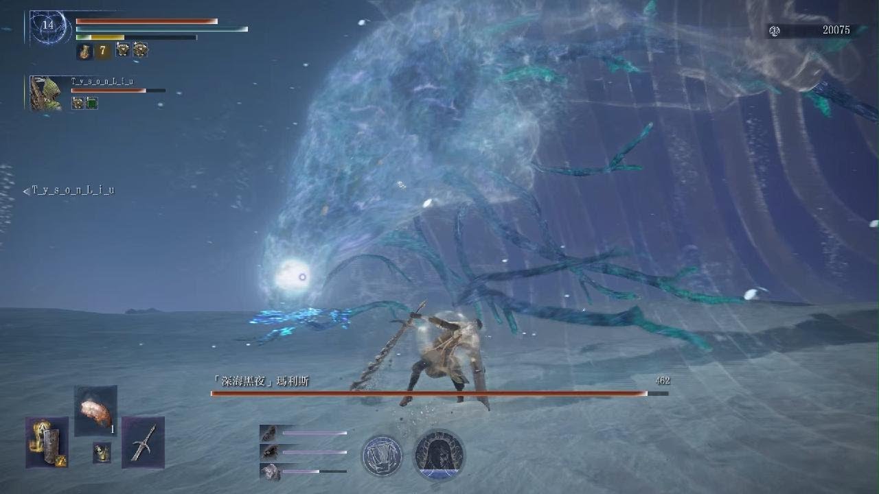 ELDEN RING NIGHTREIGN_復仇者初戰