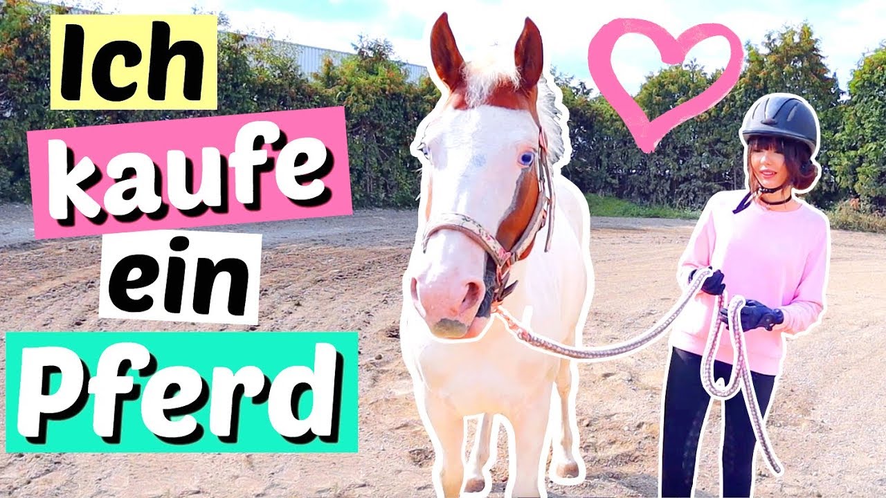 Ich kaufe ein PFERD 😳 mein eigenes Pony ❤️ | ViktoriaSarina