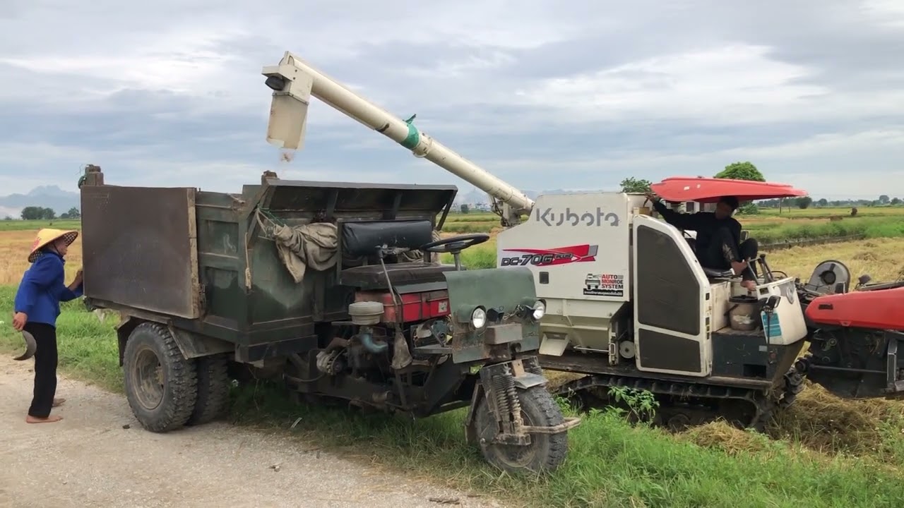 Nông Dân Gặt Lúa Thời Nay Rễ Như  đi Chơi