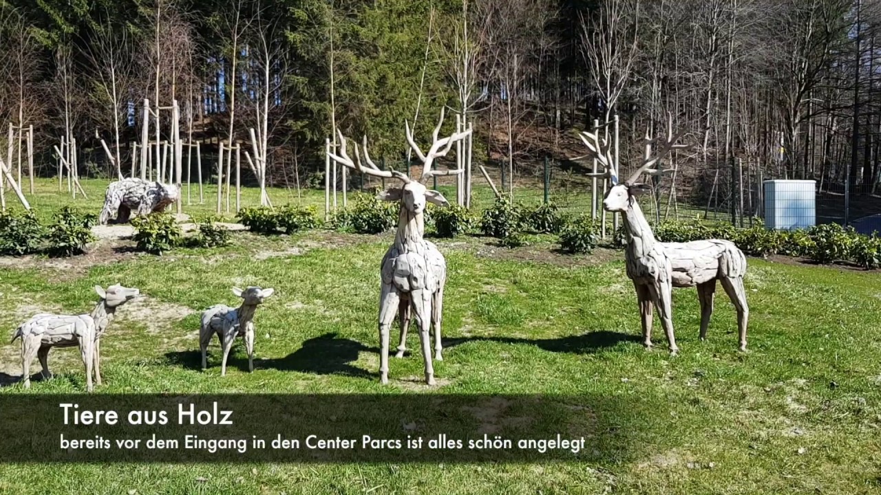 Center Parcs Allgäu Guide