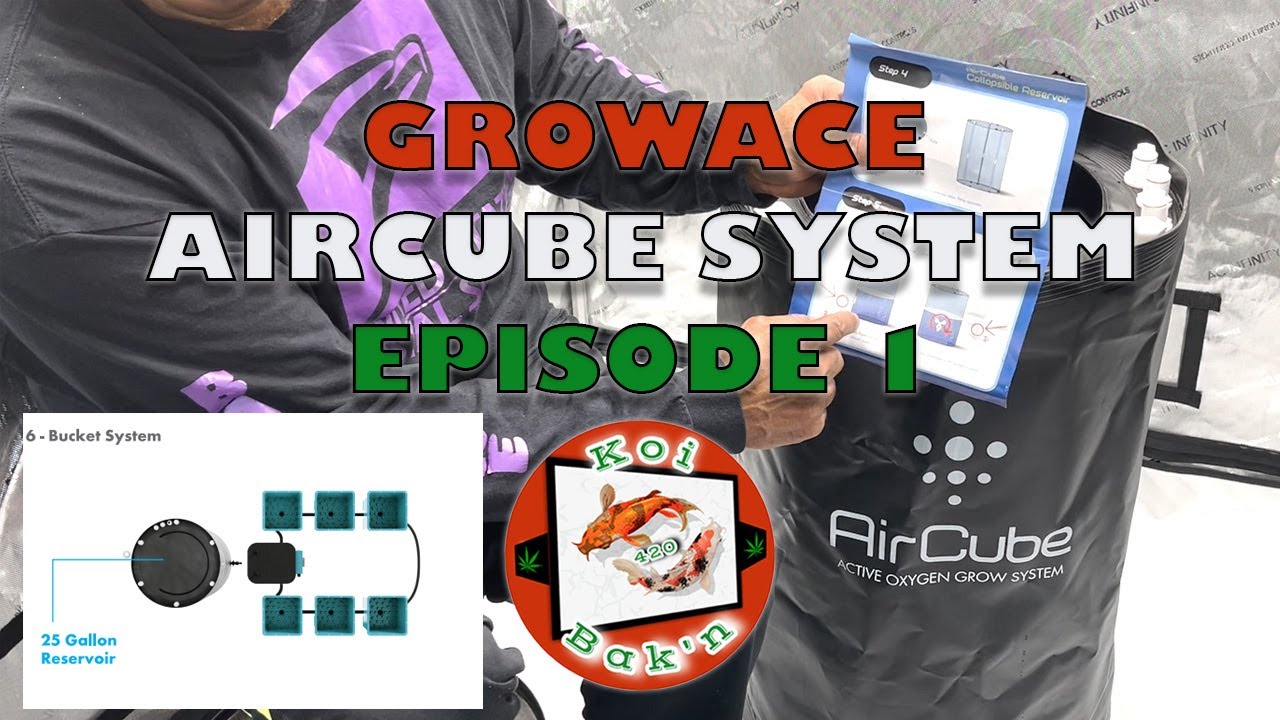Growace | AirCube Active Oxygen Ebb and Flow Grow System | Ep 1 | Reservoir Setup Walkthrough