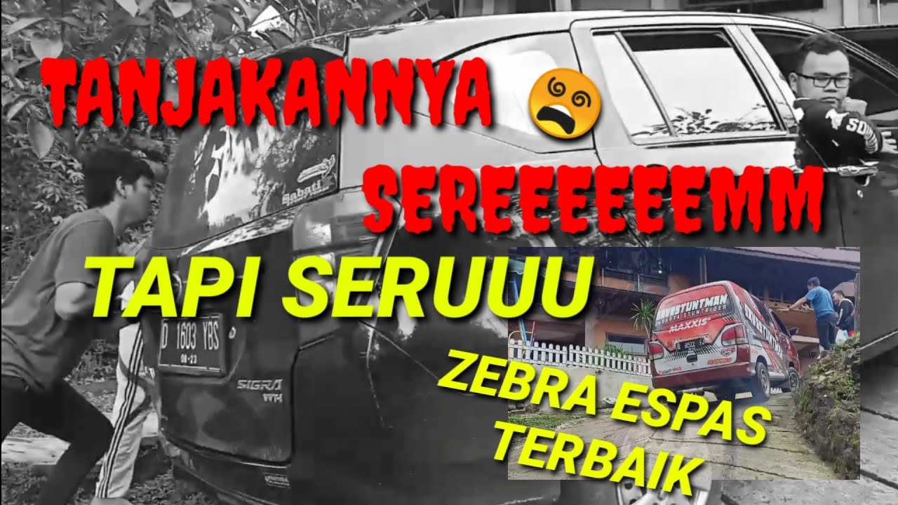 ZEBRA ESPAS TERBAIK ! TANJAKANNYA SEREEM !!
