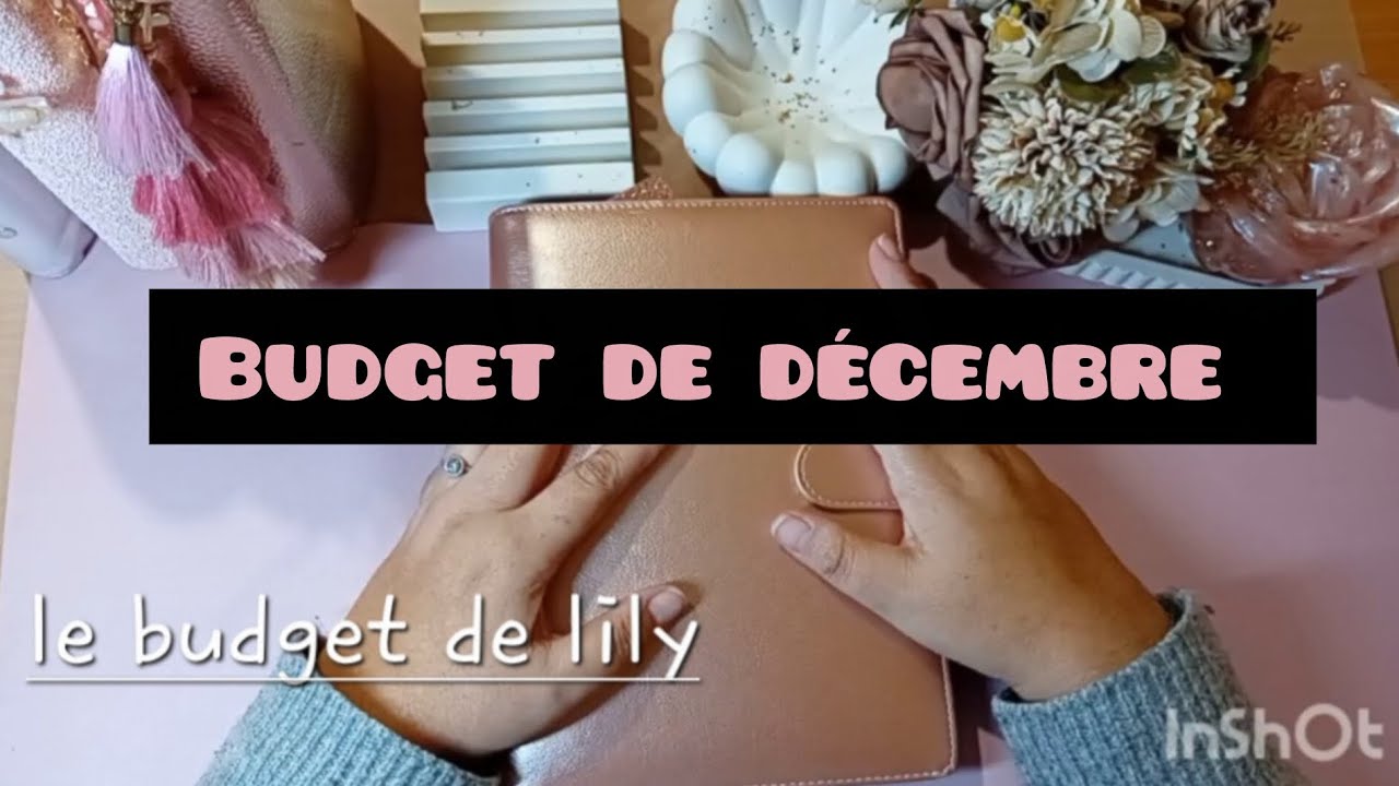 Jolie budget de décembre, espérons de jolies économies 😉 #cashstuffing #enveloppebudgetaire 