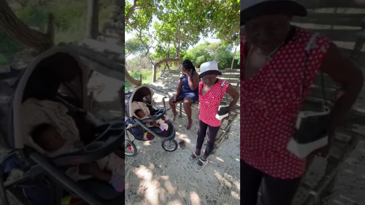 Обругайте его как следует! Лол