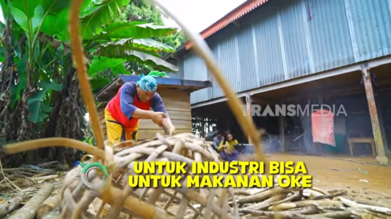Karage Raukang Kuah Paleko | JEJAK SI GUNDUL (02/02/26)