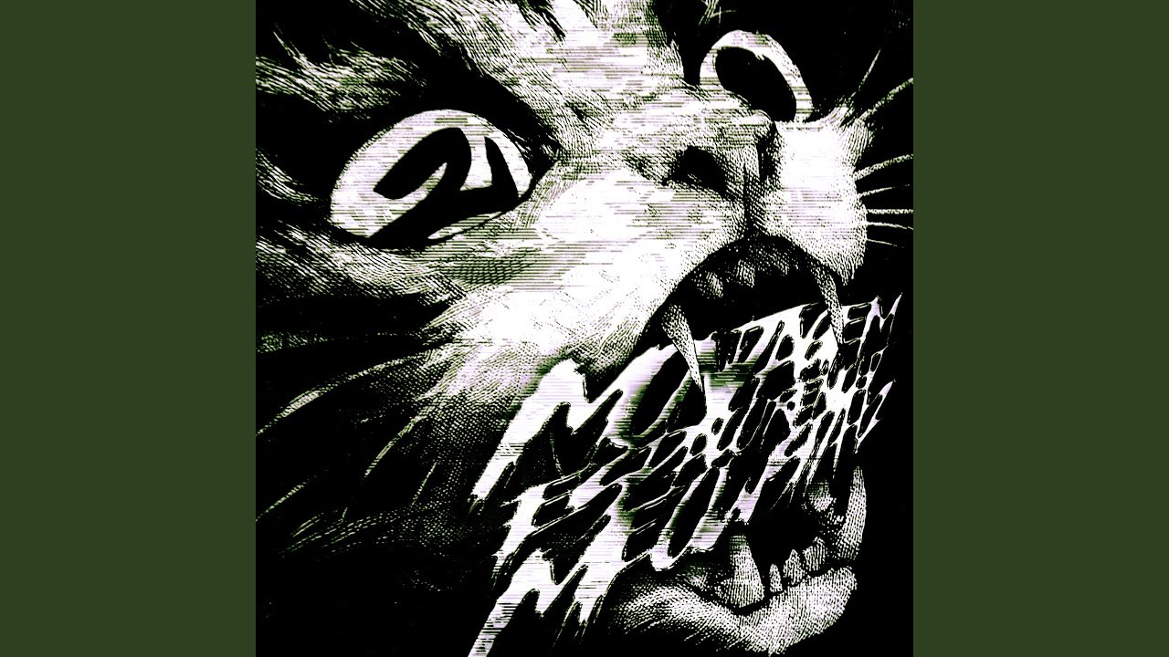 Montagem Espaco Renicht 2 Meowsith (Slowed)