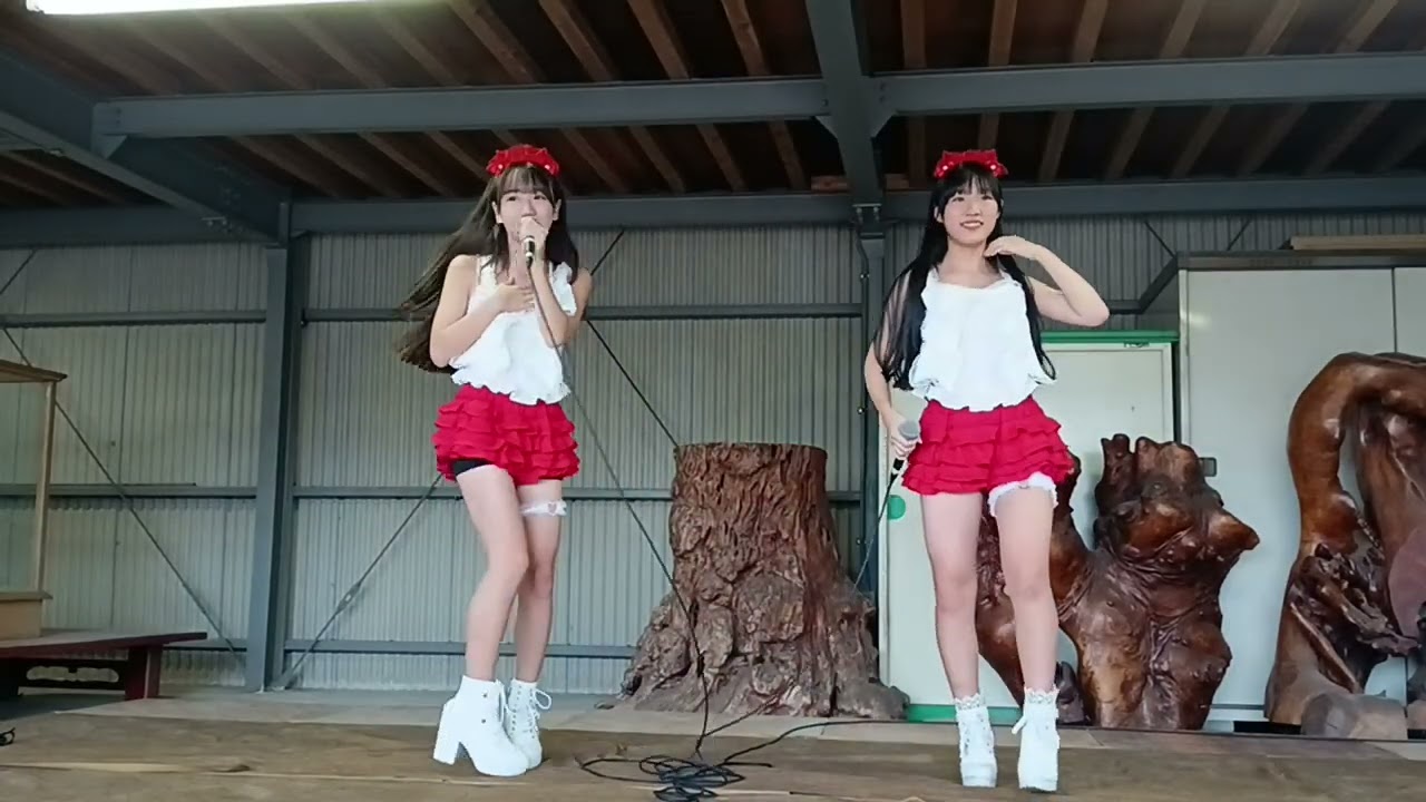 2025年10月26日安禅寺秋祭り　CHERIEmimi、聖那ちゃん、りとちゃんのライブ動画です