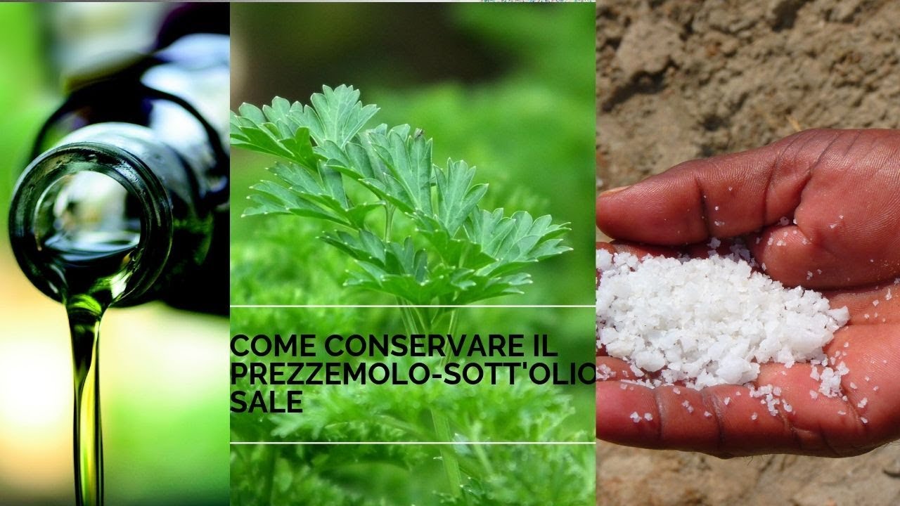 COME #CONSERVARE IL PREZZEMOLO SOTT'OLIO E SALE
