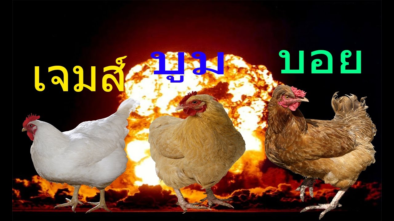 ก๊วนซ่าพาปล่อยไก่ huhulife [OPZTV]