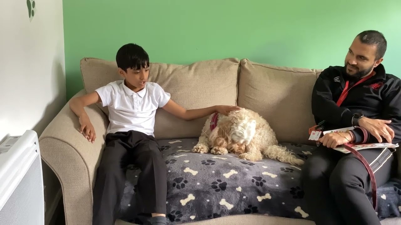 Dog Mentoring - Bella and Ruby