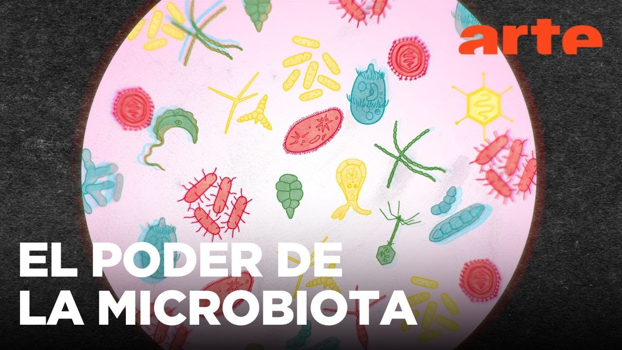 42: la respuesta a casi todo: ¿El microbioma nos controla? | ARTE.tv Documentales