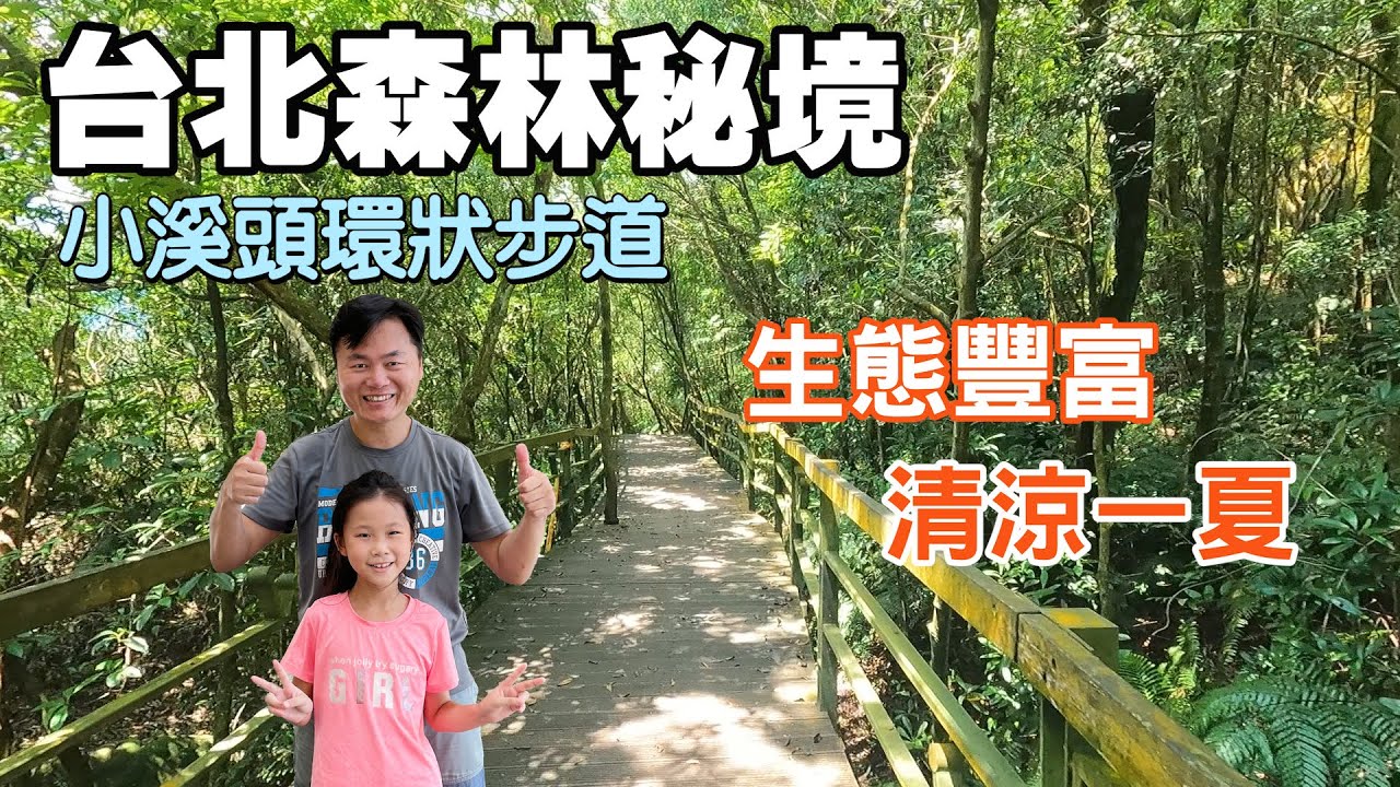 【台北森林秘境 | 小溪頭環狀步道】享受森林浴不用去溪頭，漫步在清幽涼爽的山林中，生態豐富，適合親子同遊！ | 士林景點、台北景點、內湖景點