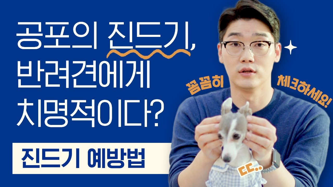 산책 후 진드기, 어디에 가장 잘 붙는지 알고 계신가요?🤓 확인하는 방법 제대로 알려드립니다! 🏥 | 진드기 예방법 | 설채현 행동학 수의사
