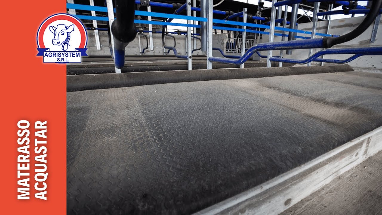 Materassi ad acqua per cuccette per bovini Aquastar  I Agrisystem Srl
