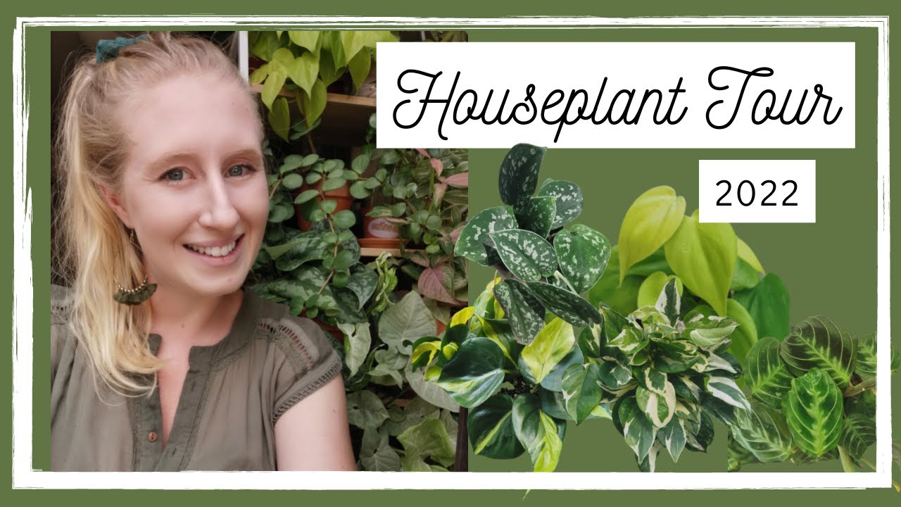 Autumn Houseplant Tour 2022 (NZ)