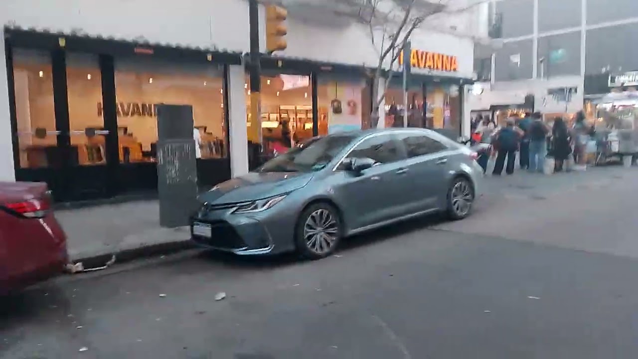 Peatonal san Martin MDP verano