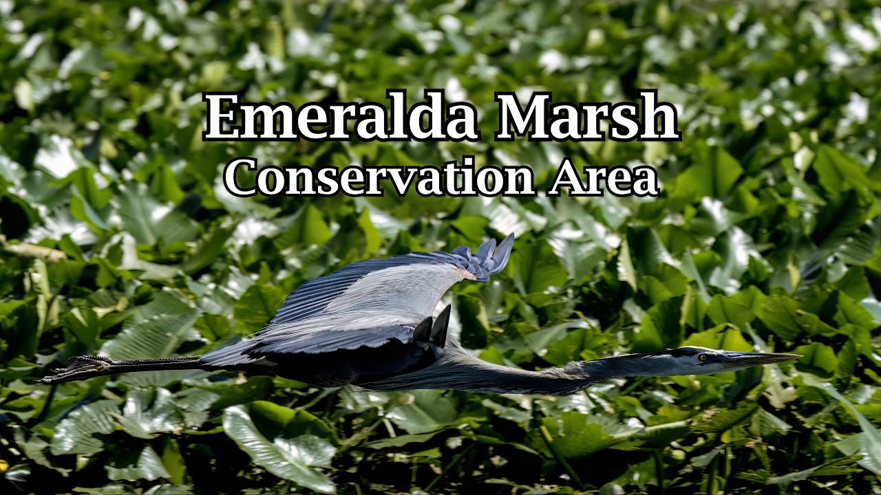 Emeralda Marsh Conservation Area