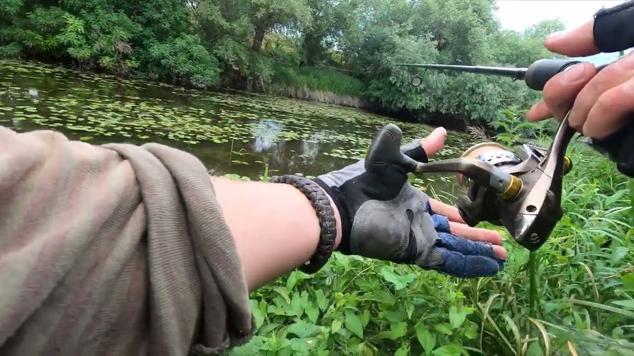 békával csalizok... - horgászat Kirillel 07.07