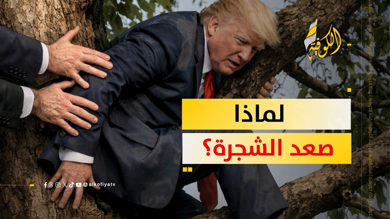 ترمب يحاول النزول عن الشجرة.. لماذا صعد؟