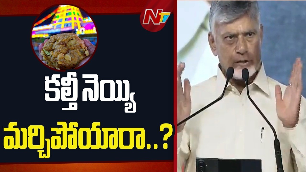 CM Chandrababu Sensational Comments On YSRCP | NTV Telugu