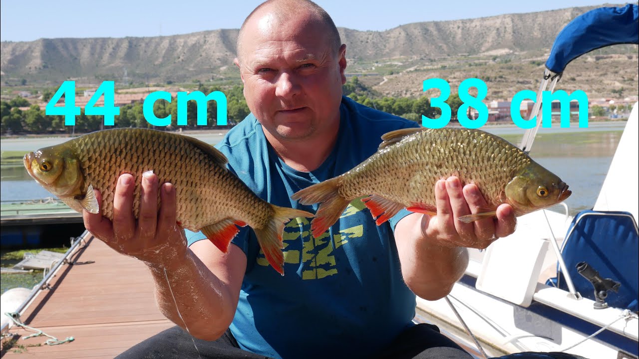 Dzień 8 nad Ebro-fishing.pl ........  Zawody z dziadkiem