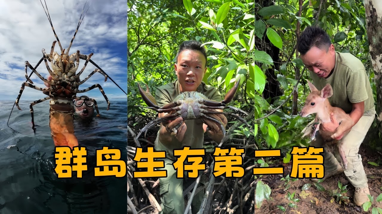 户外鸿哥【群岛生存第二篇】全集 #荒野求生 #荒野生存 #户外鸿哥 #户外探险 #户外生活