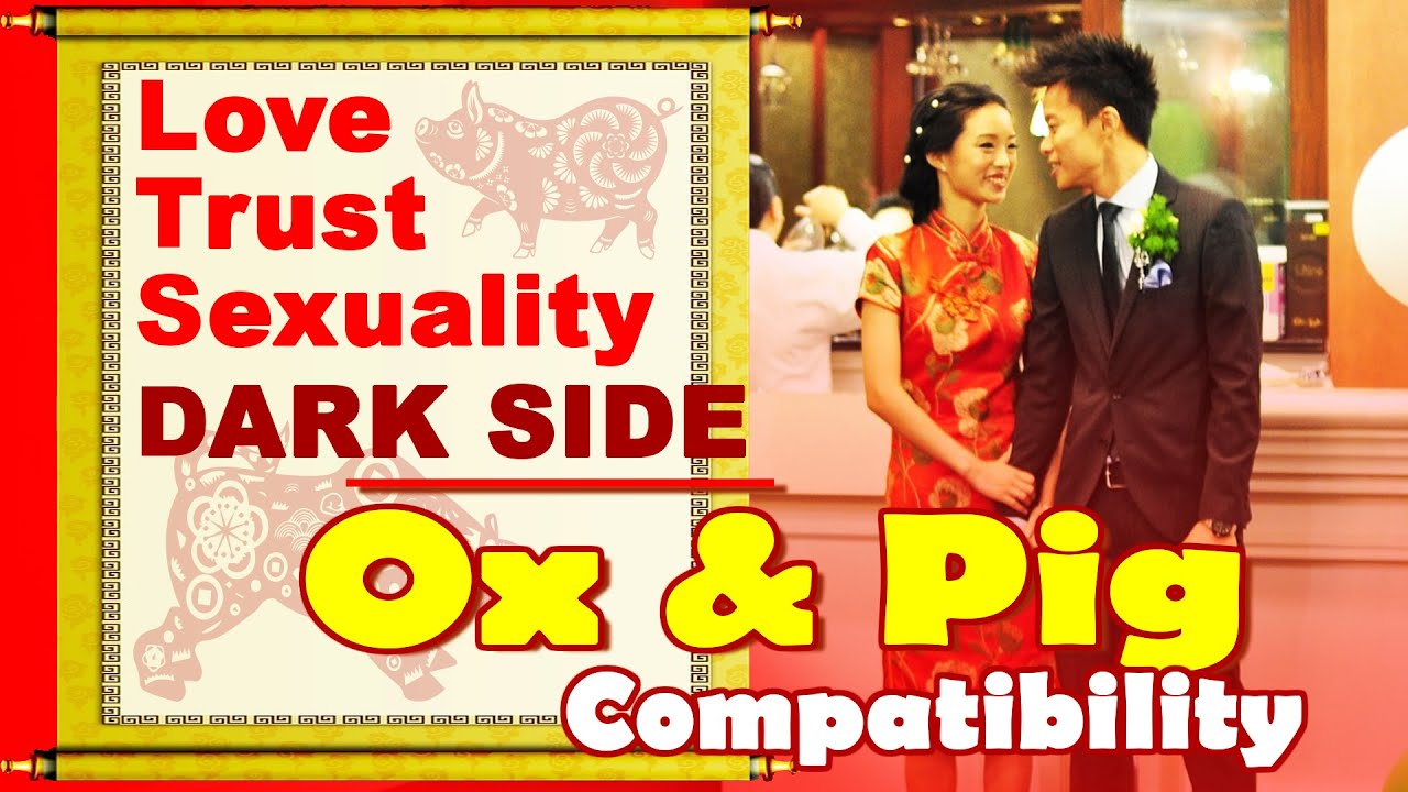 Ox and Pig Compatibility in Love, Life, Trust and Intimacy | Ox and Pig Chinese Zodiac Compatibility