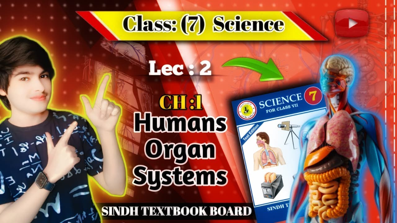 Class 7: Science | Chapter 1: Human Organ Systems| Lecture :2 | Sindh Textbook Board 
