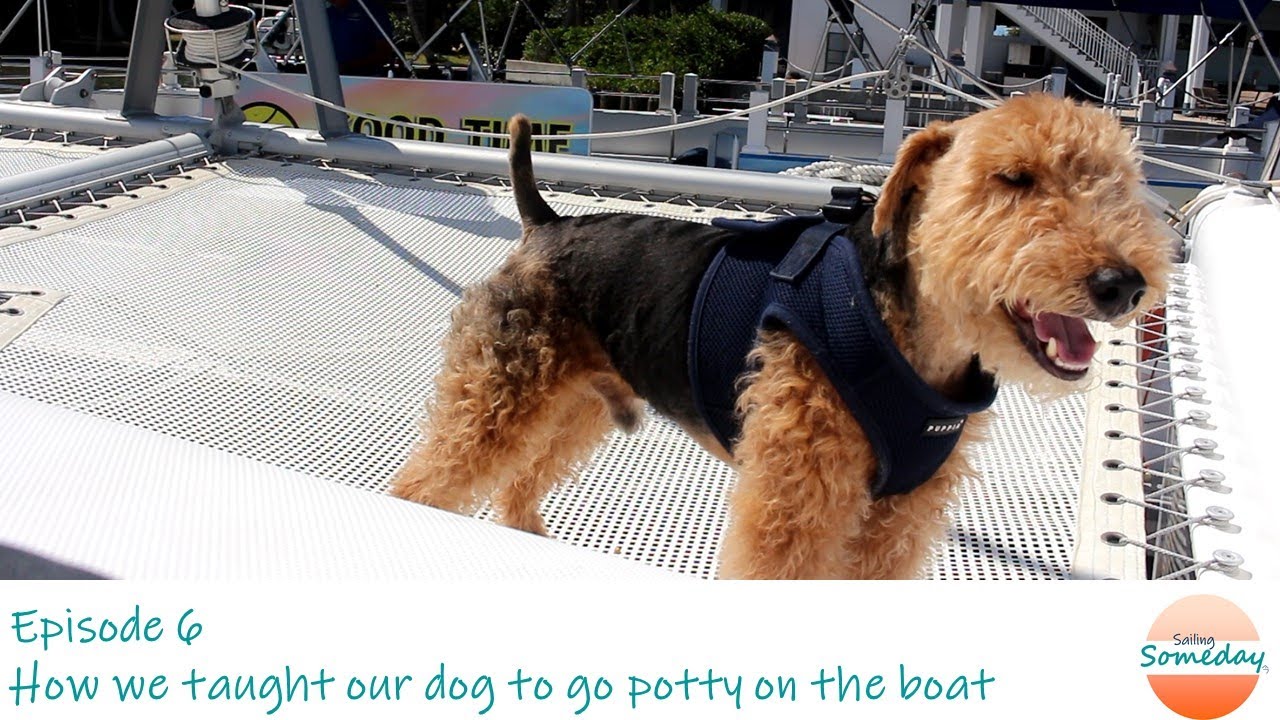 Ep6 How we taught the dog to go potty on the boat