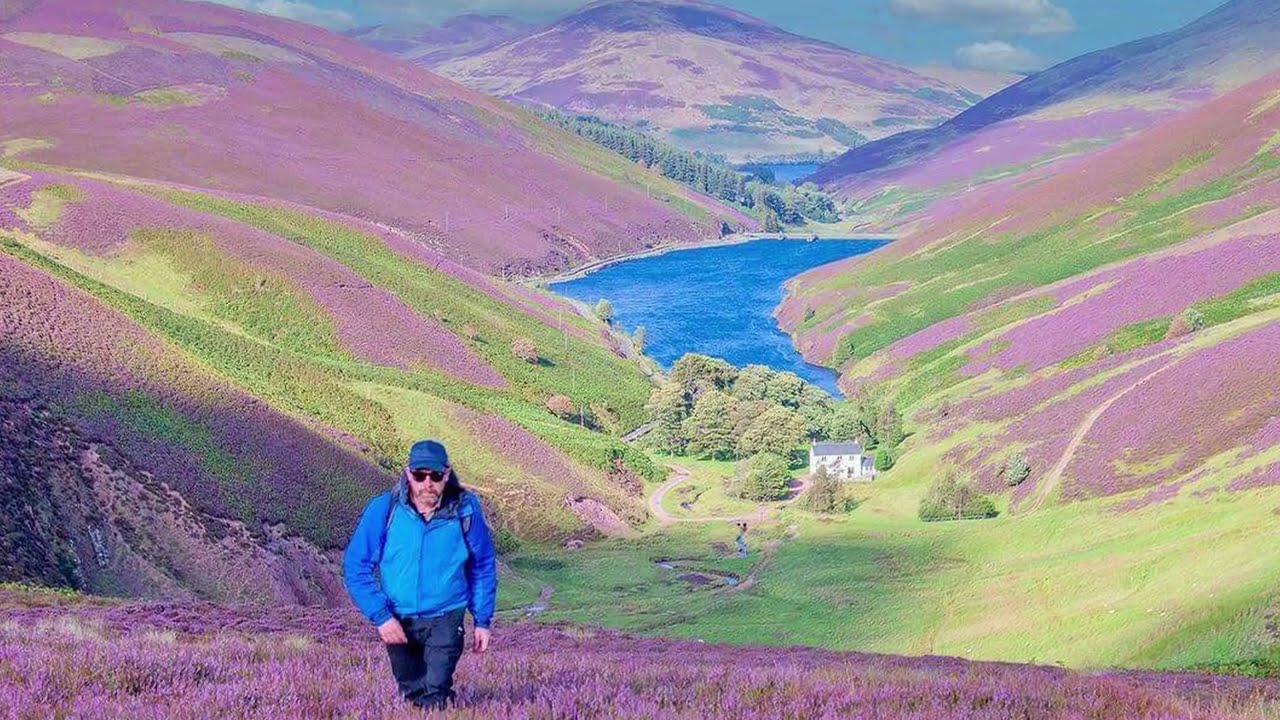 A Beautiful Heather (Calluna 'Tib')  // True Story About a Man, his Vacation & his Mystery Tour!😅👏