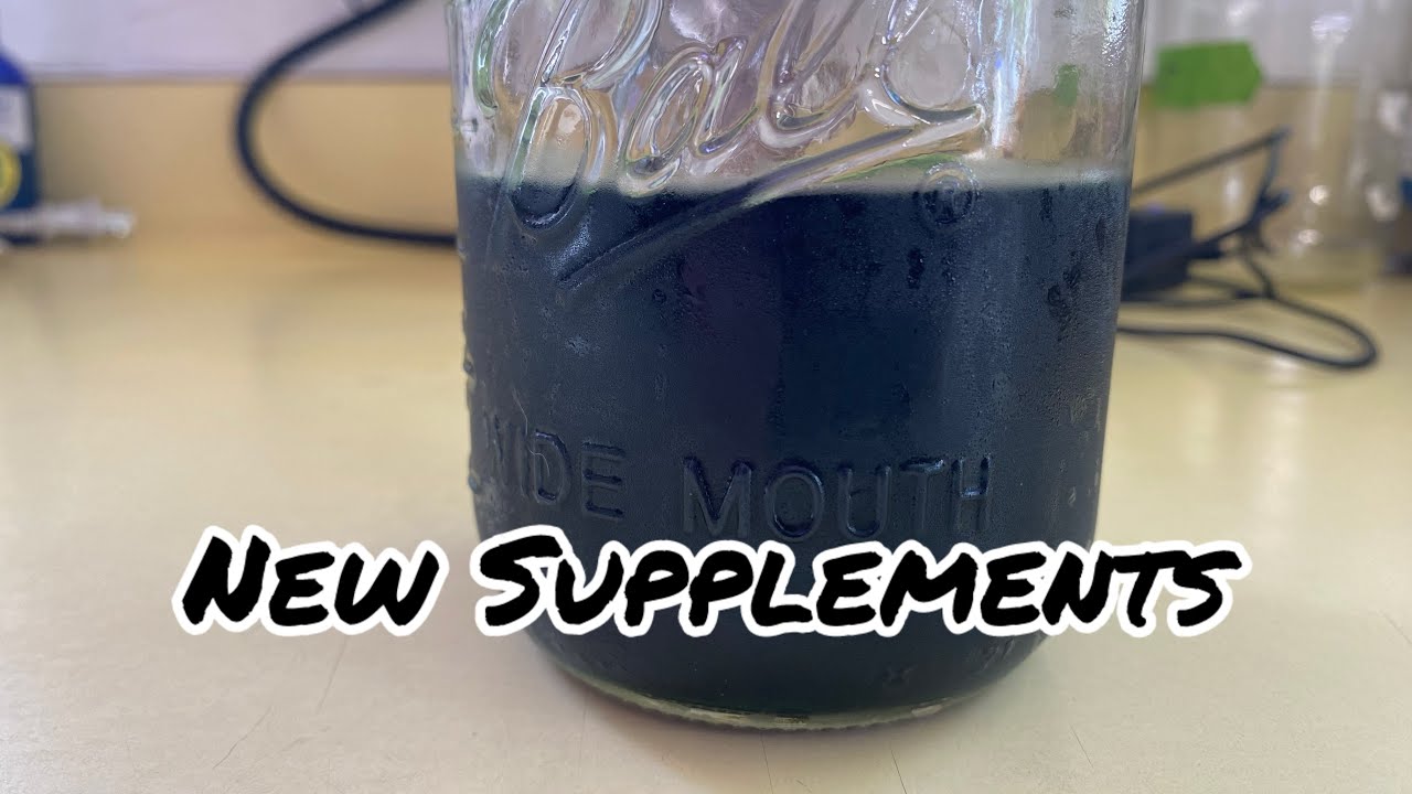 New Supplements from Azure Standard 