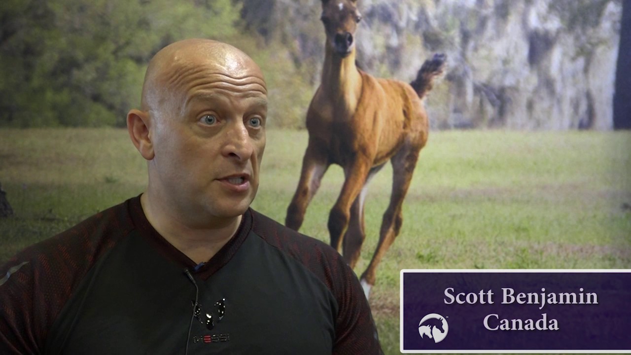 Arabian Horse Industry Breeder Interview - Scott Benjamin