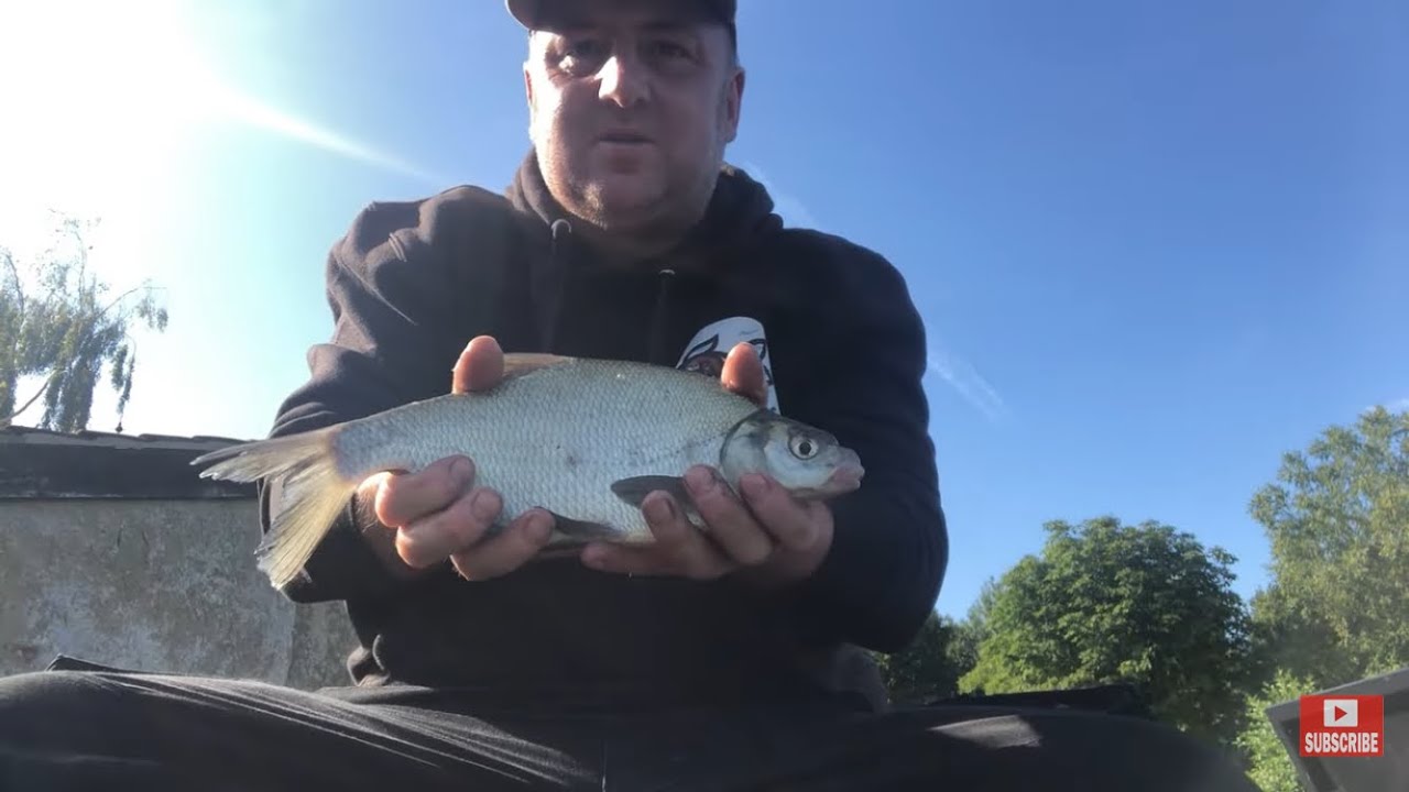 South Walsham broad. Feeder fishing  for skimmer bream. Worm and pellet groundbait Norfolk. 