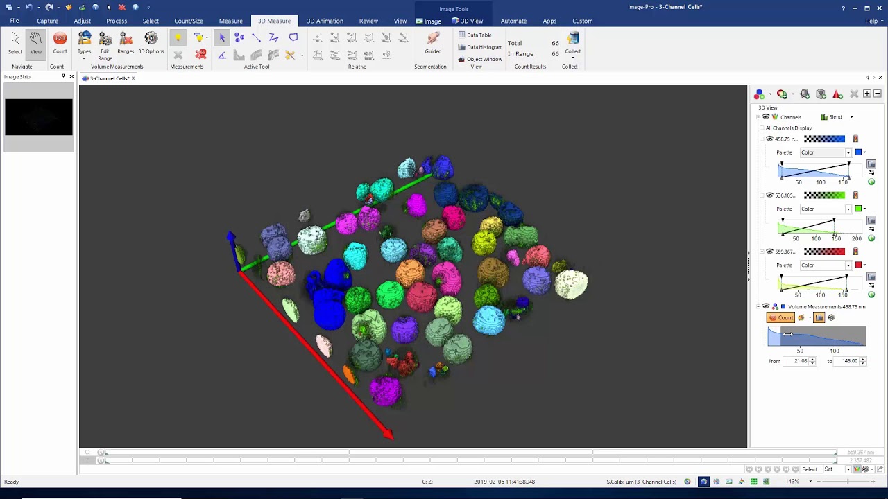 Introduction to 3D Measurements in Image-Pro