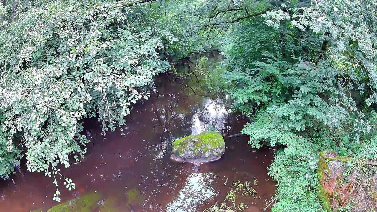 Come exploring, see the forest, waterfall & views