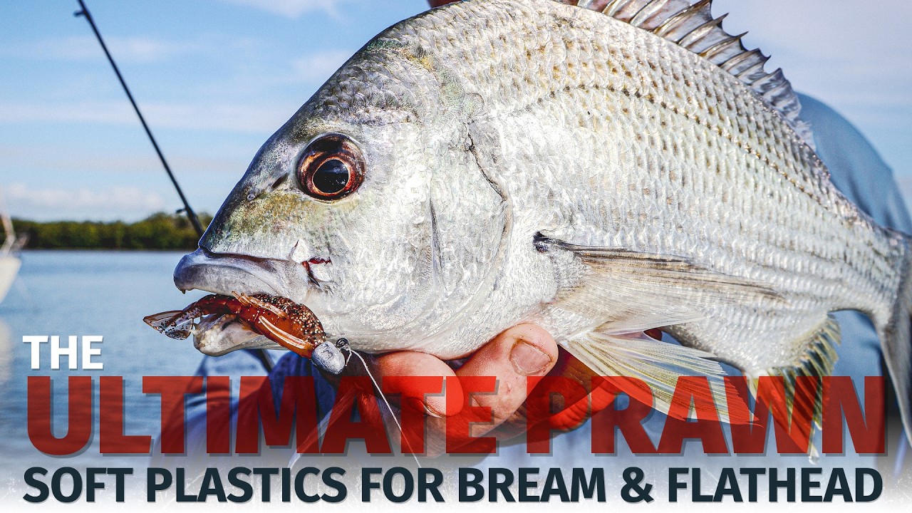 How to Fish Boat Hulls for Bream and Flathead - Fishing ZMan PrawnZ and PrawnZ Elite Soft Plastics.