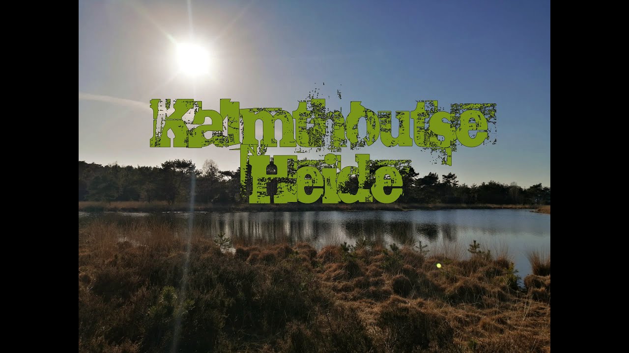 Ontdek België - Kalmthoutse heide