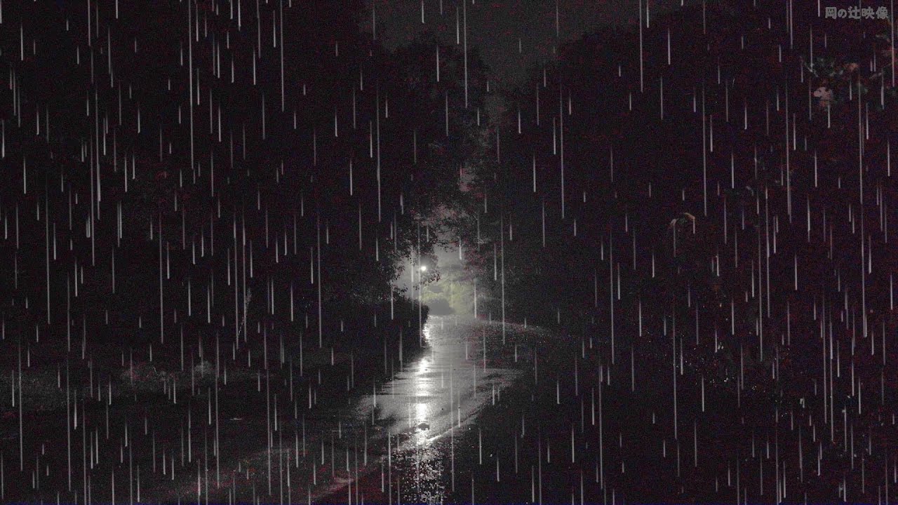 10 Hours of Night Rain in a Japanese Forest: Deep Sleep & Meditation.