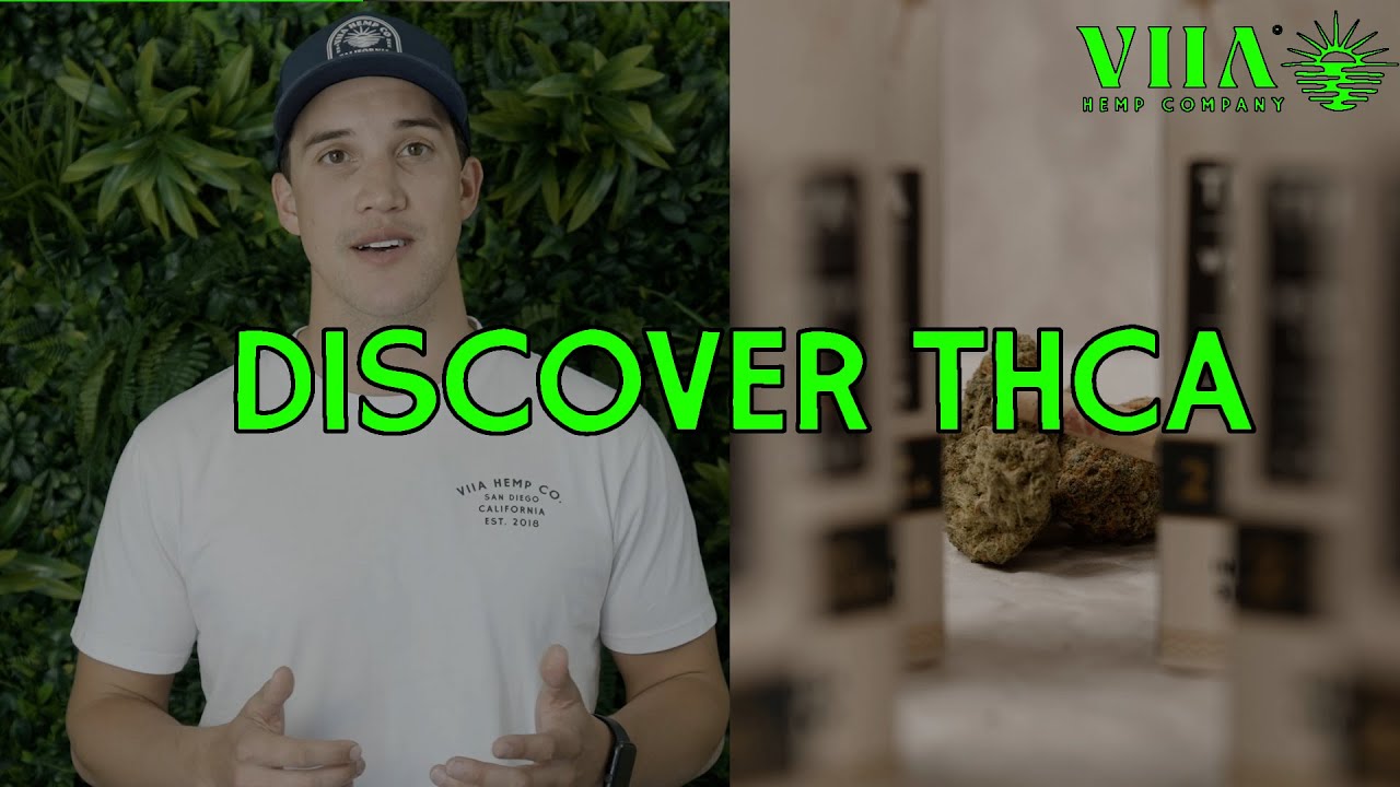 Discover THCA: Introducing Our Exciting New Prerolls!