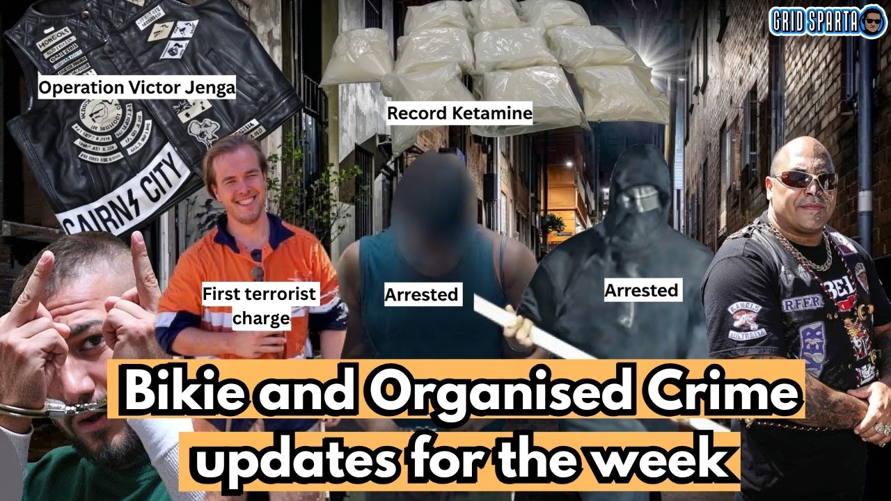 Bikie and Organised Crime Updates for the week