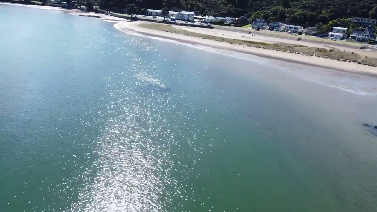 Ngunguru Sandspit (4k Video)