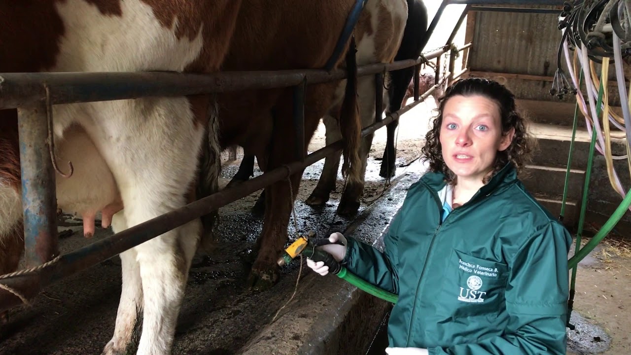 Prueba de fondo oscuro en leche