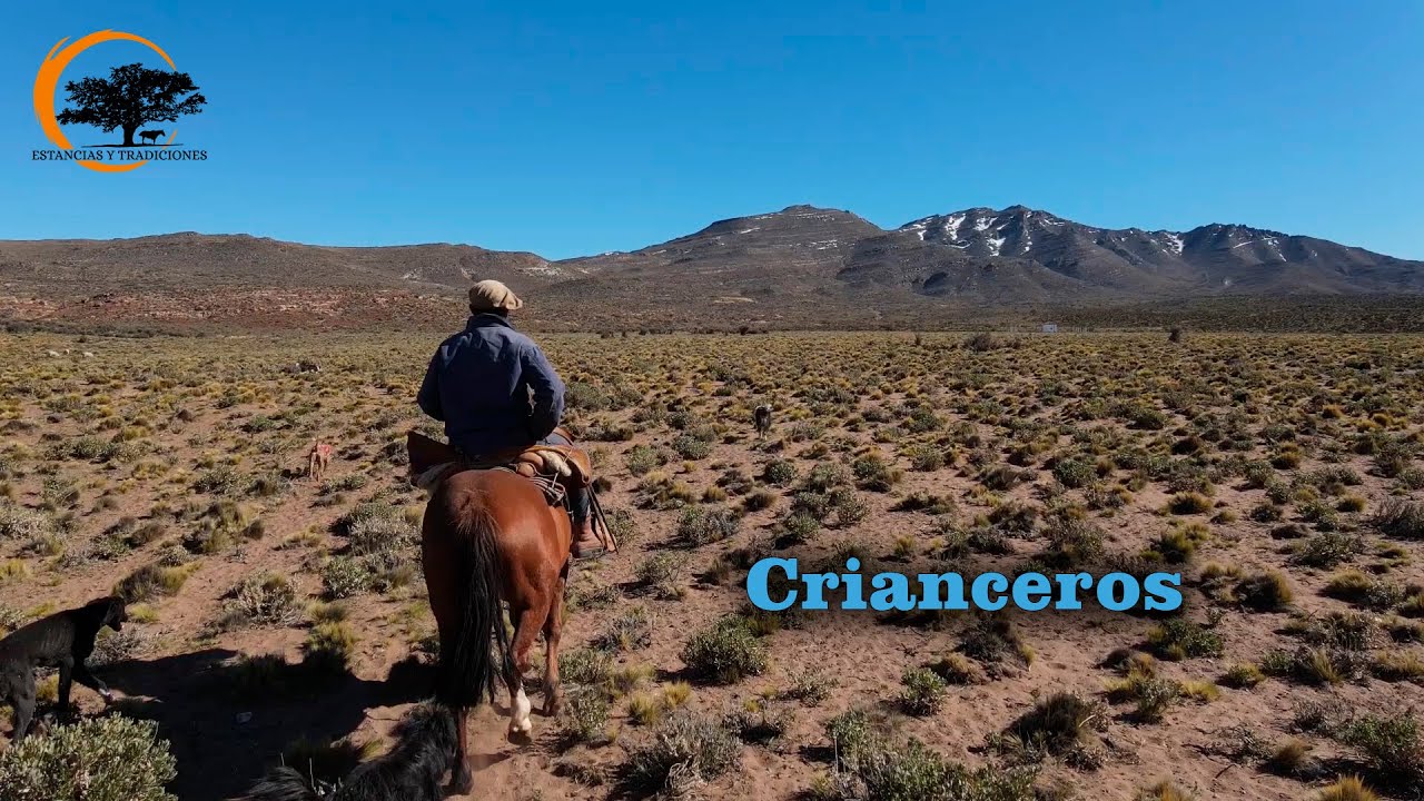 172 Puesto Sánchez - Estancias y Tradiciones
