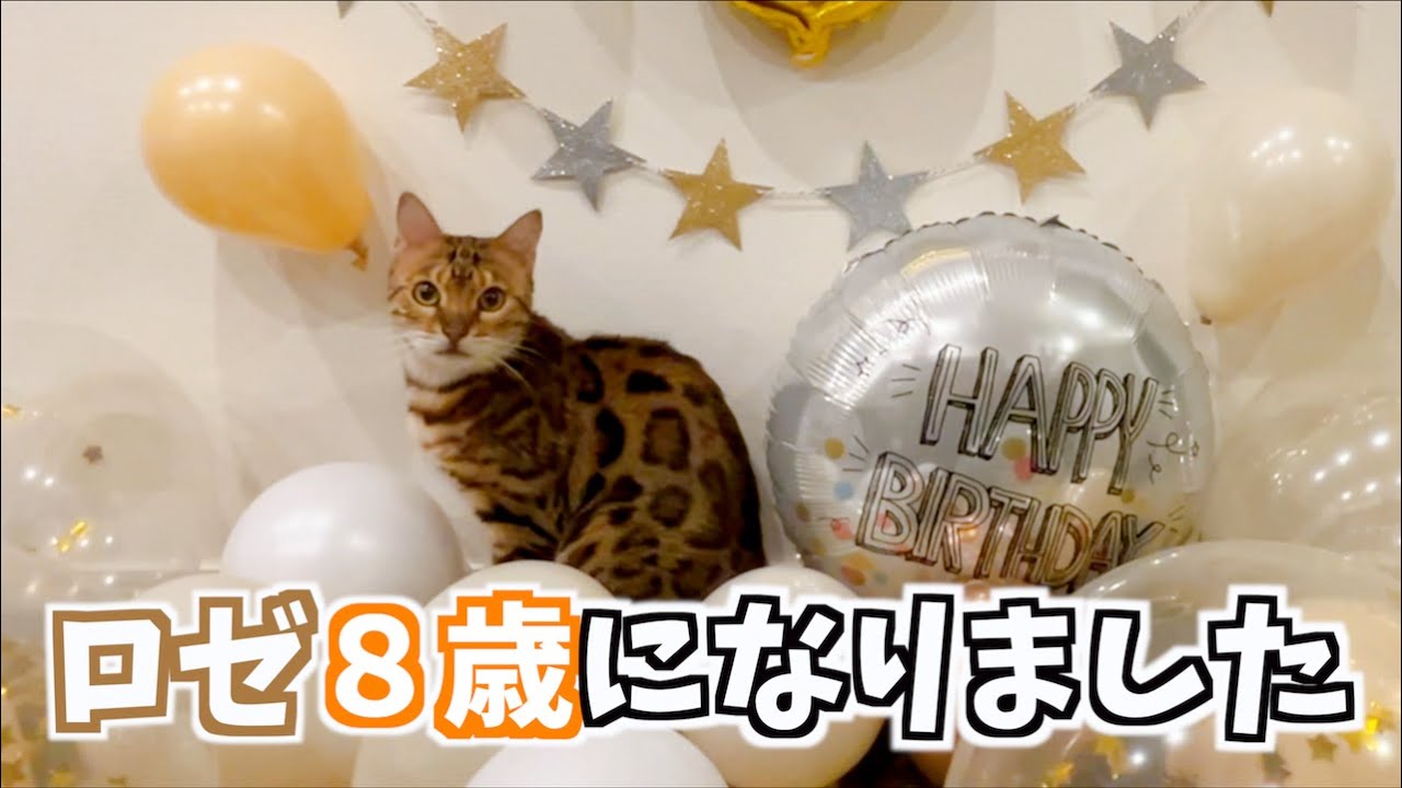 ロゼのめでたい８歳のお誕生日会