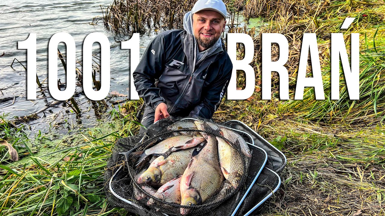 1001 Brań