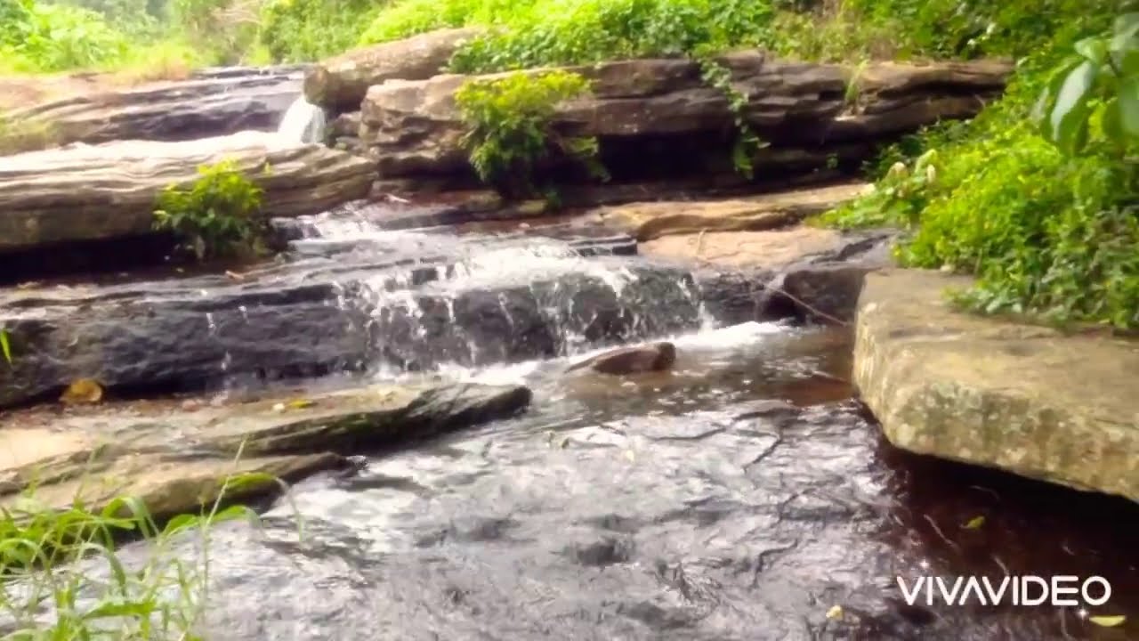 Biso Ella - Yatawatta (යටවත්ත බිසෝ ඇල්ල)