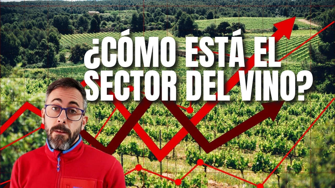 Indicadores para saber la salud del sector del  vino