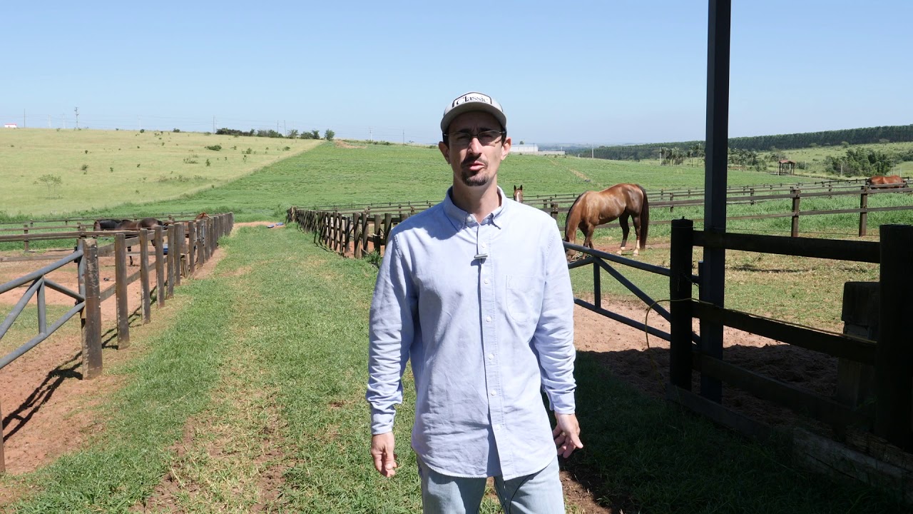 Manejo dos Cavalos em Dias de Provas de 3 Tambores - D&Eacute;CIO TALON