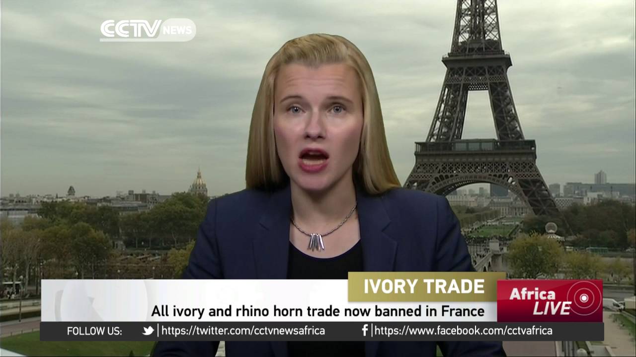 France is the first European country to ban all ivory trade